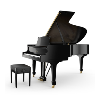 Steinway & Sons B-211 PE Zwart hoogglans