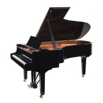 Doutreligne Master D4 PE Zwart hoogglans