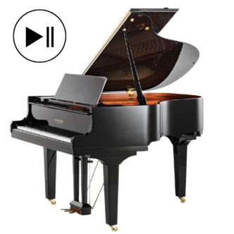 Doutreligne Salon II QRS Record PE Black polished