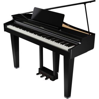 Roland GP3 PE Black polished