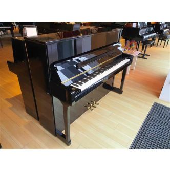 Schimmel C116T (2016)