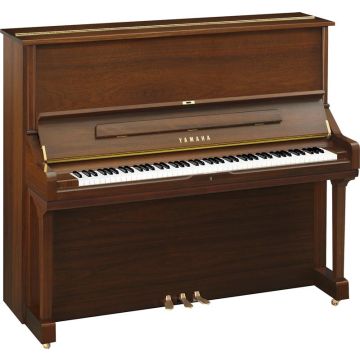 Yamaha U3 SAW Walnut satin