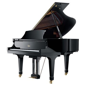 Boston GP178PE PE Black polished