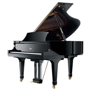 Boston GP178PE PE Zwart hoogglans