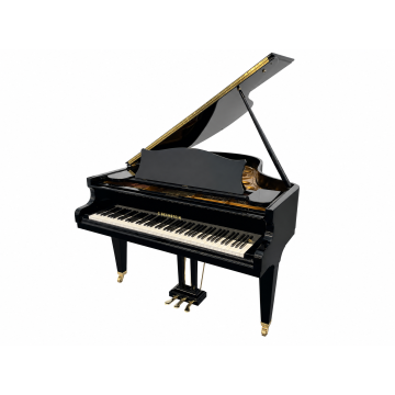 C. Bechstein M (1985)