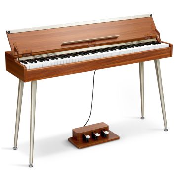 Donner DWP-10 Walnut satin