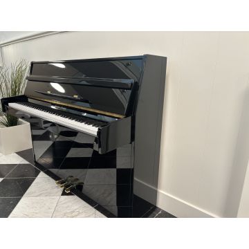 Young Chang EC109 (1999)