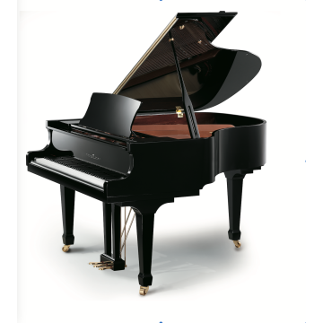 Petrus Ypma PY160 PE Black polished