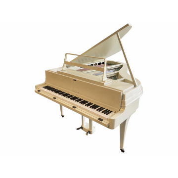 Rippen Grand Piano (1968)
