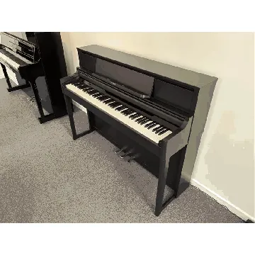Roland LX5 CH (Z4R0803)