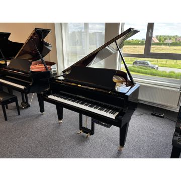 Schimmel 150 (1984)