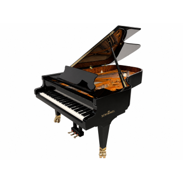Schimmel K230T (2007)