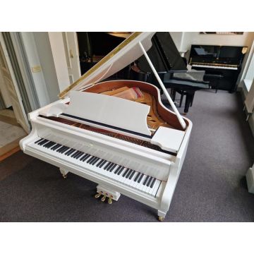 Steinway & Sons O-180 (1906)
