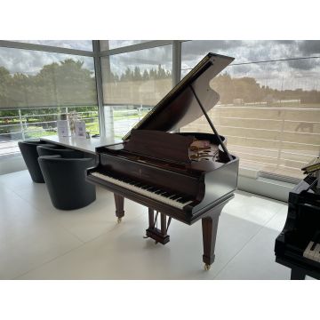 Steinway & Sons O-180 (1905)