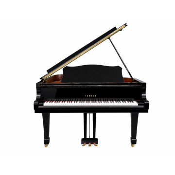 Yamaha C3 Silent (2005)