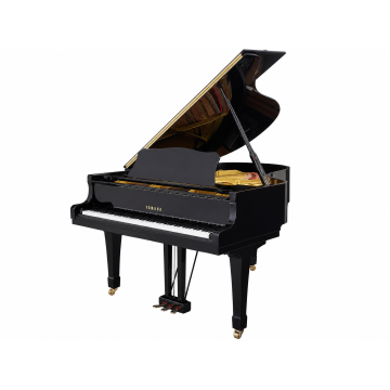 Yamaha C5 (1985)