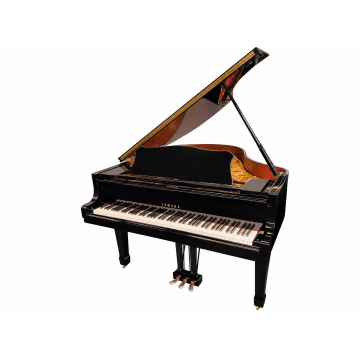 Yamaha G2 (1986)