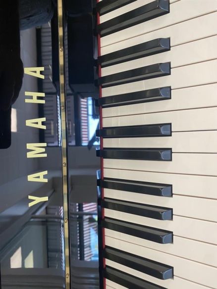 Yamaha b1sc2 new arrivals