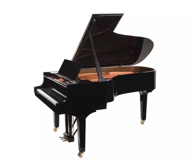 Doutreligne Master D6