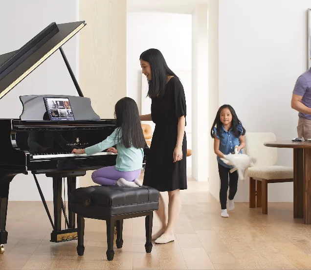 steinway familie
