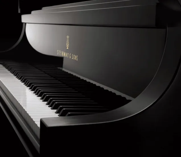 Klavier van een Steinway vleugel