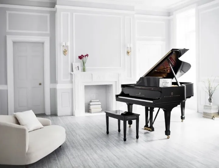 Buy a self-playing piano